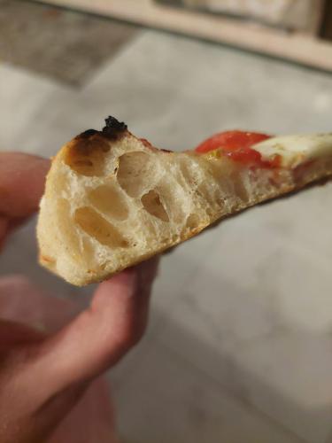 Alveolatura della pizza